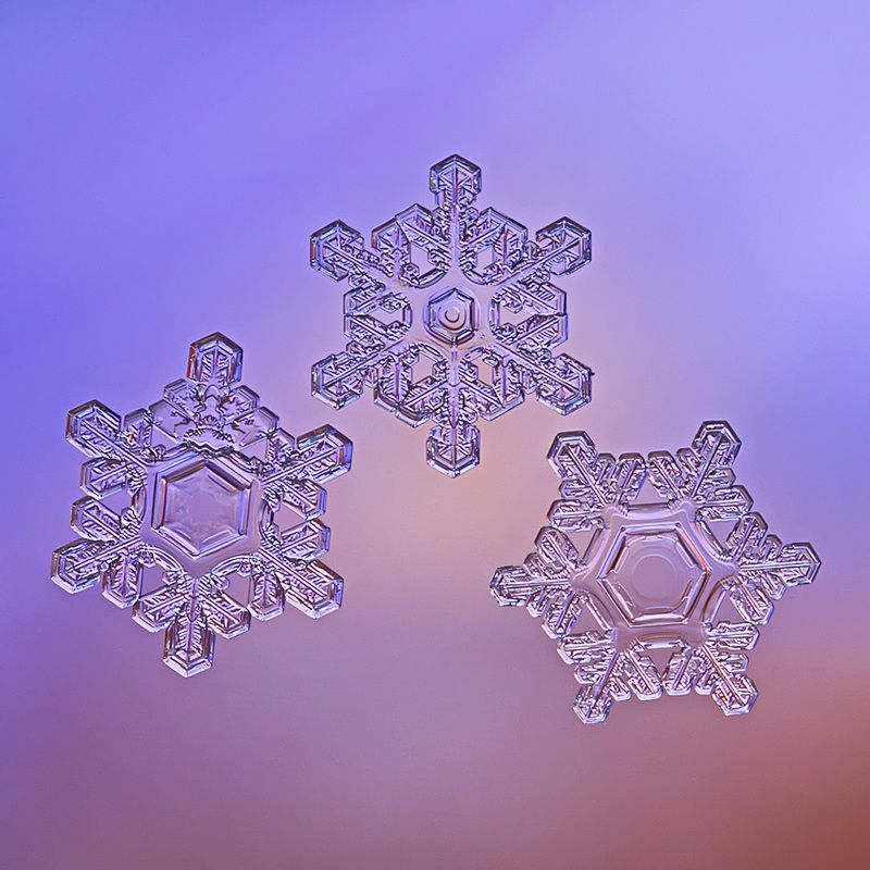 снежинка, снежинки, макро, природа, кристалл, зима Трио фото превью