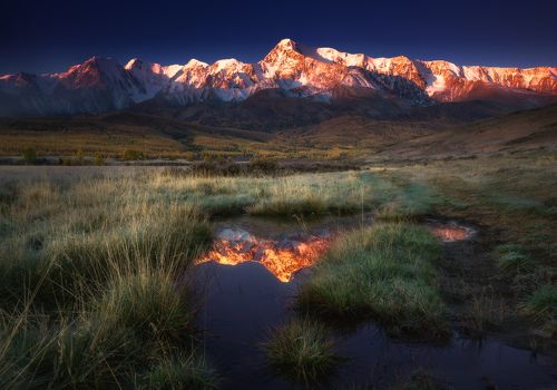 Куркурек на восходе