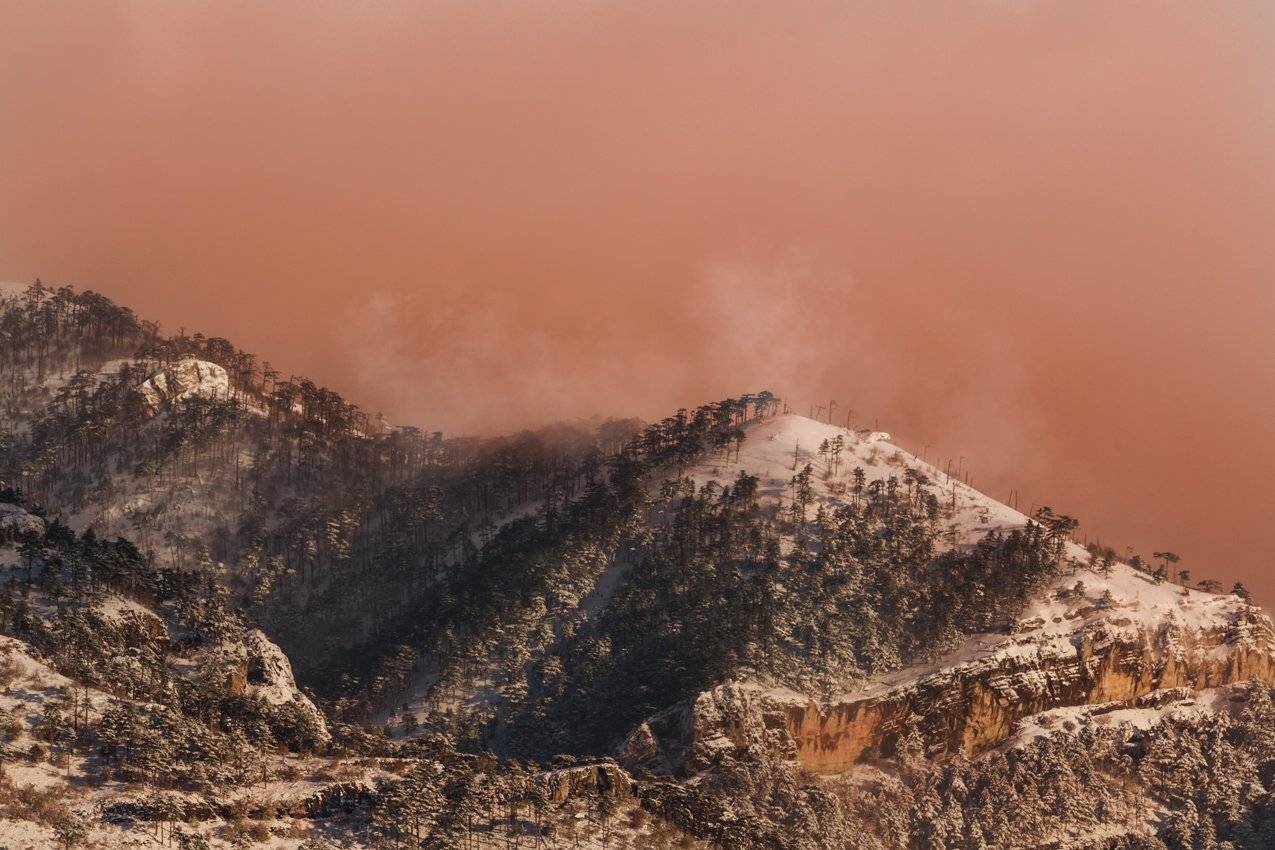 крым,горы,лес,зима,рассвет,розовый,облака,россия,пейзаж,природа,снег,фототур, Elena Pakhalyuk