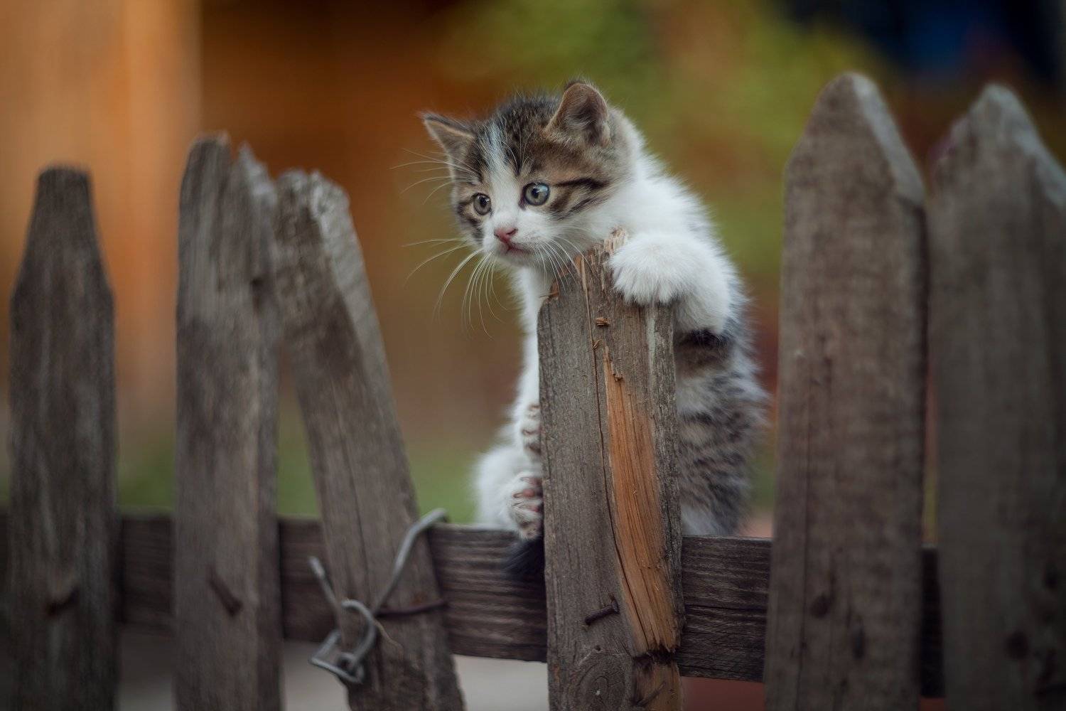 , Коротун Юрий