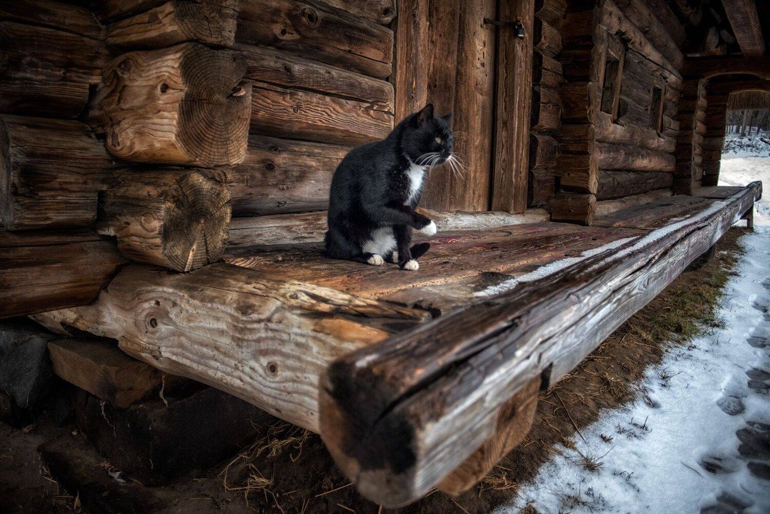 , Юрий Юрьев