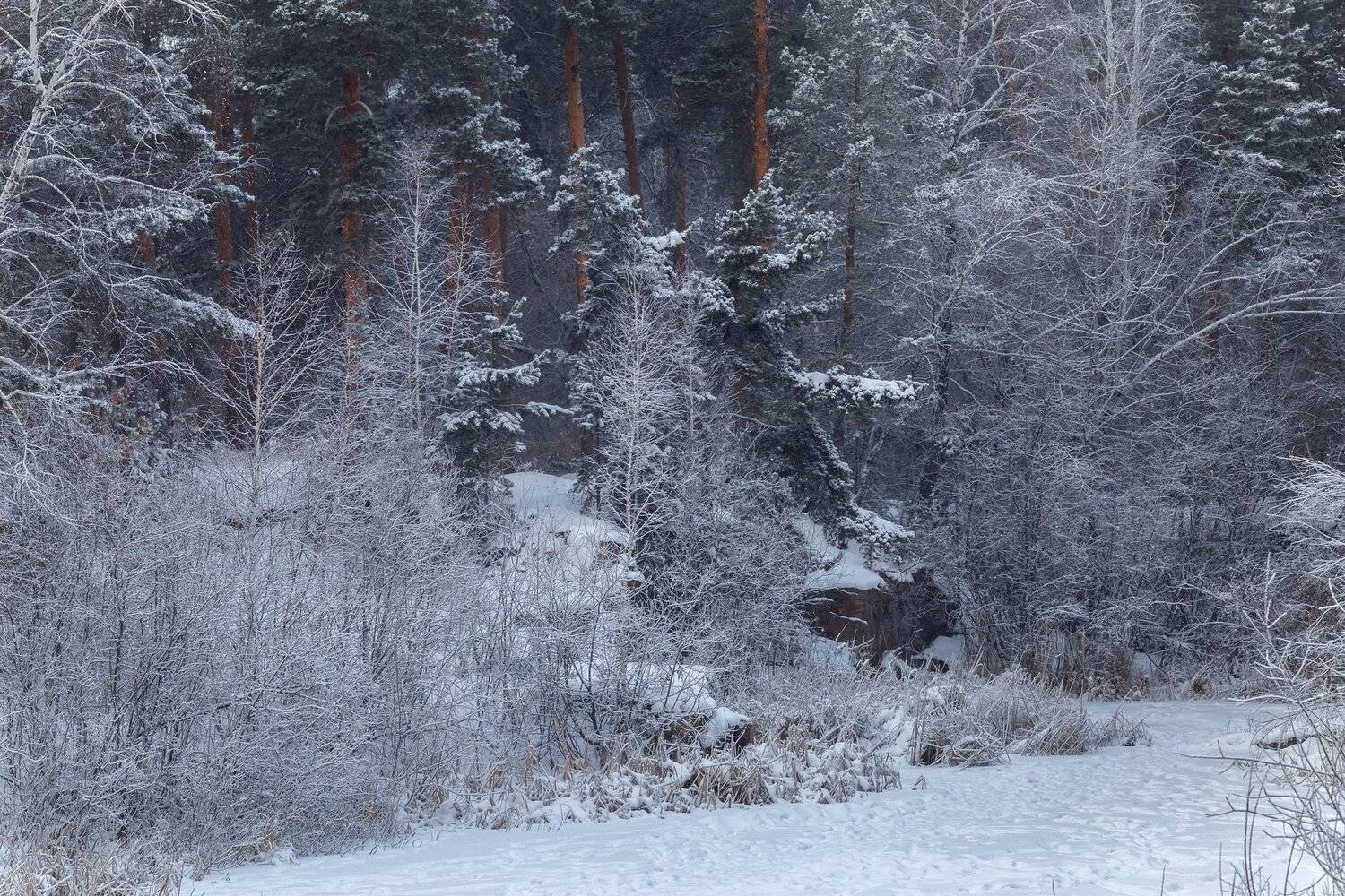 , Олег Богданов