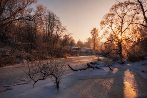 Рассвет зимы