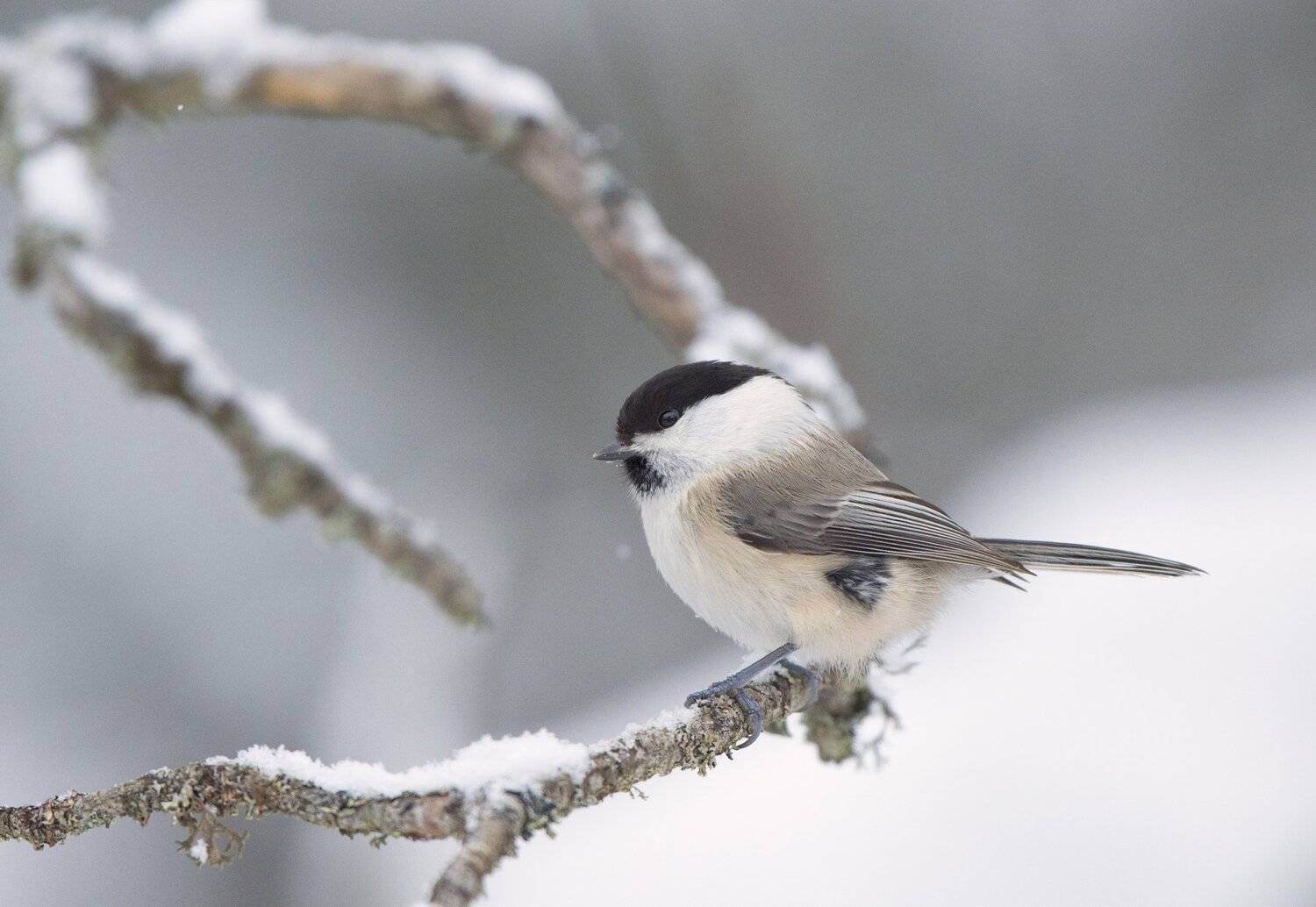 , Юрий Кулаков
