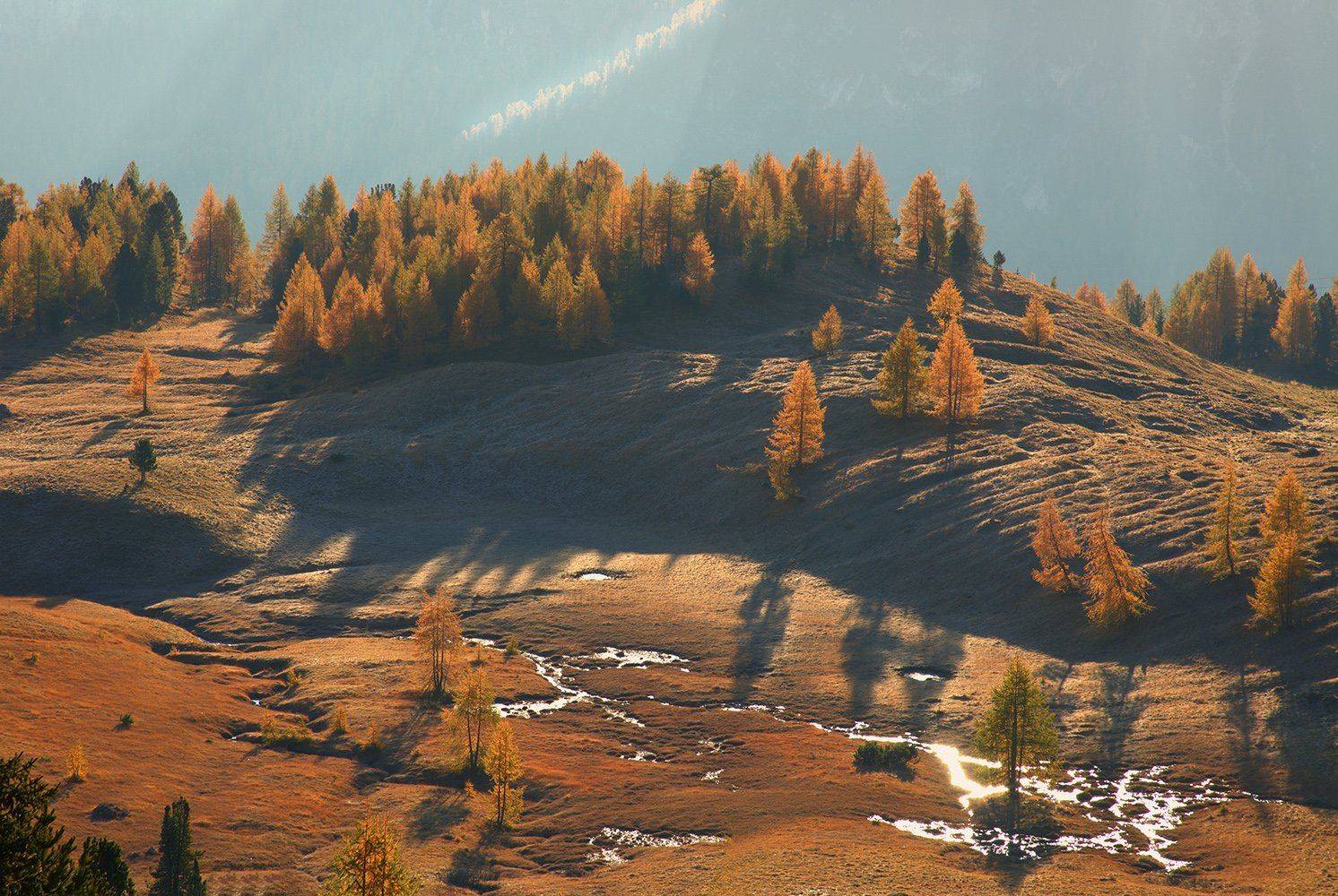 , Игорь Дубровский