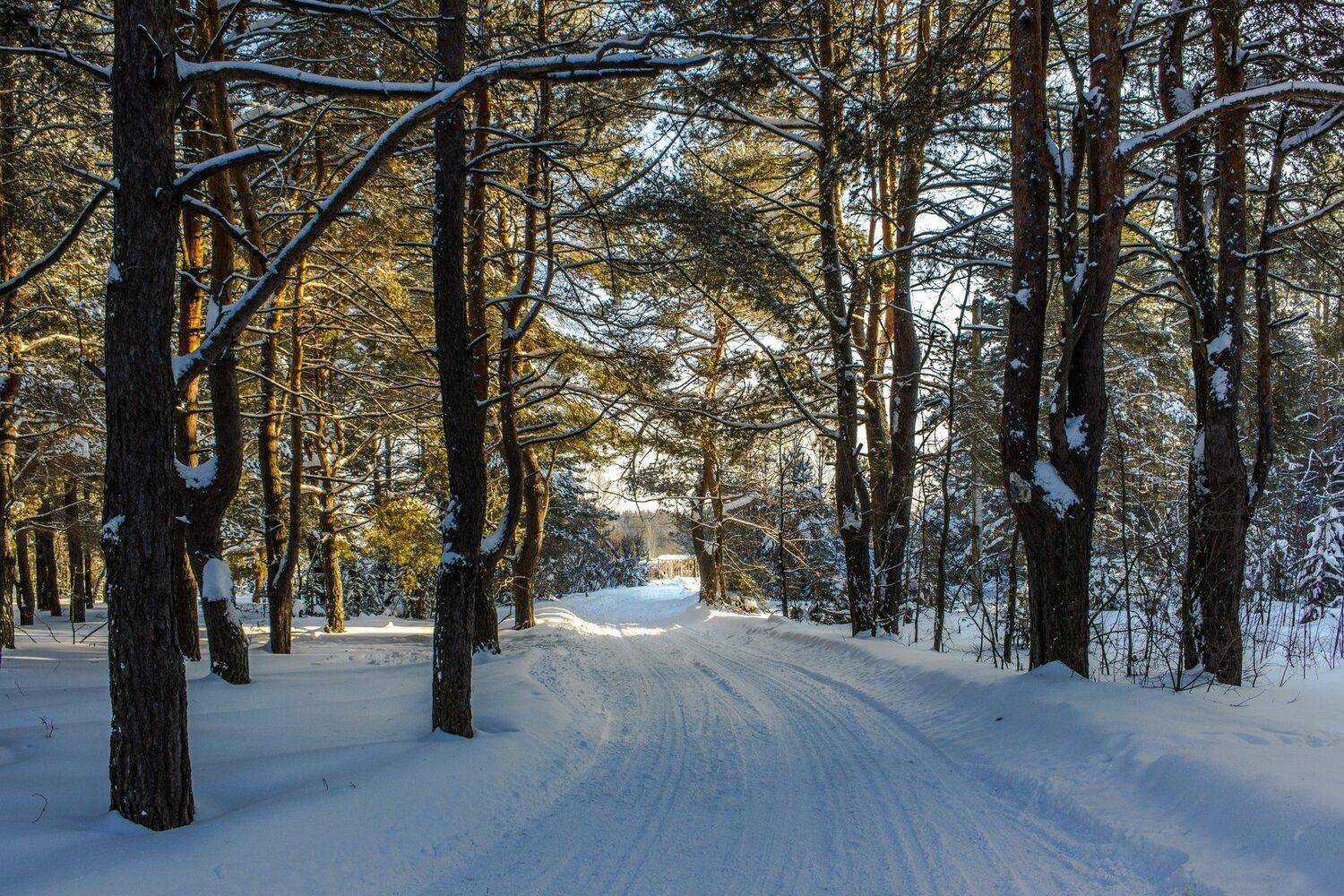 , Руслан Востриков