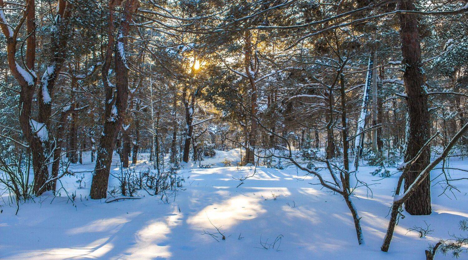 , Руслан Востриков