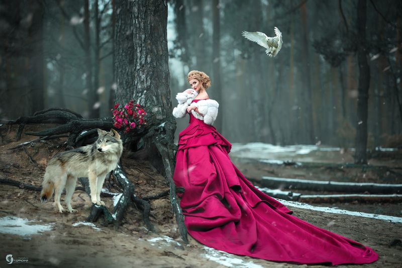 девушка, зима, сказка, лес, снег Лес чудес) фото превью