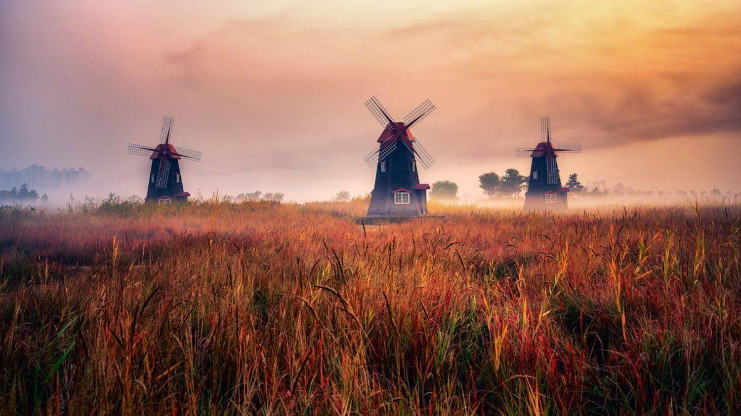 windmill foliage forest fog morning landscape cloud sky Kroea, Seo Tiger