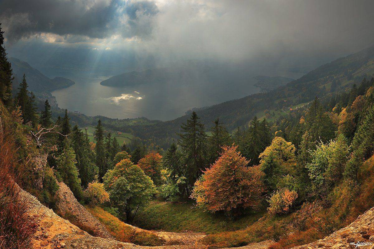 swiss, Матвеев Николай