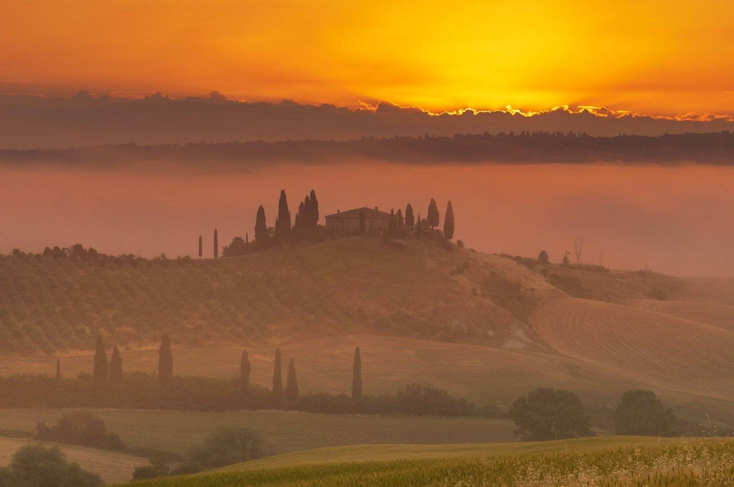 тоскана, Исаков Дмитрий