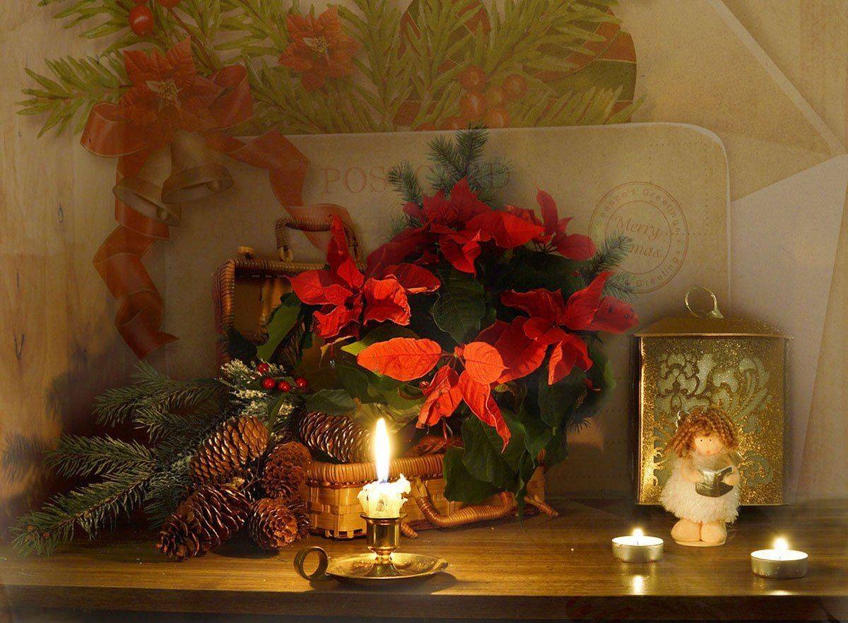 still life,натюрморт,фото натюрморт, зима, декабрь, пуансетия, цветы, свеча, подсвечник, игрушки, открытка, новый год, Колова Валентина