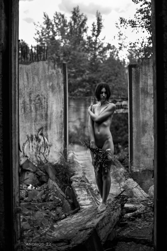 *** фото превью