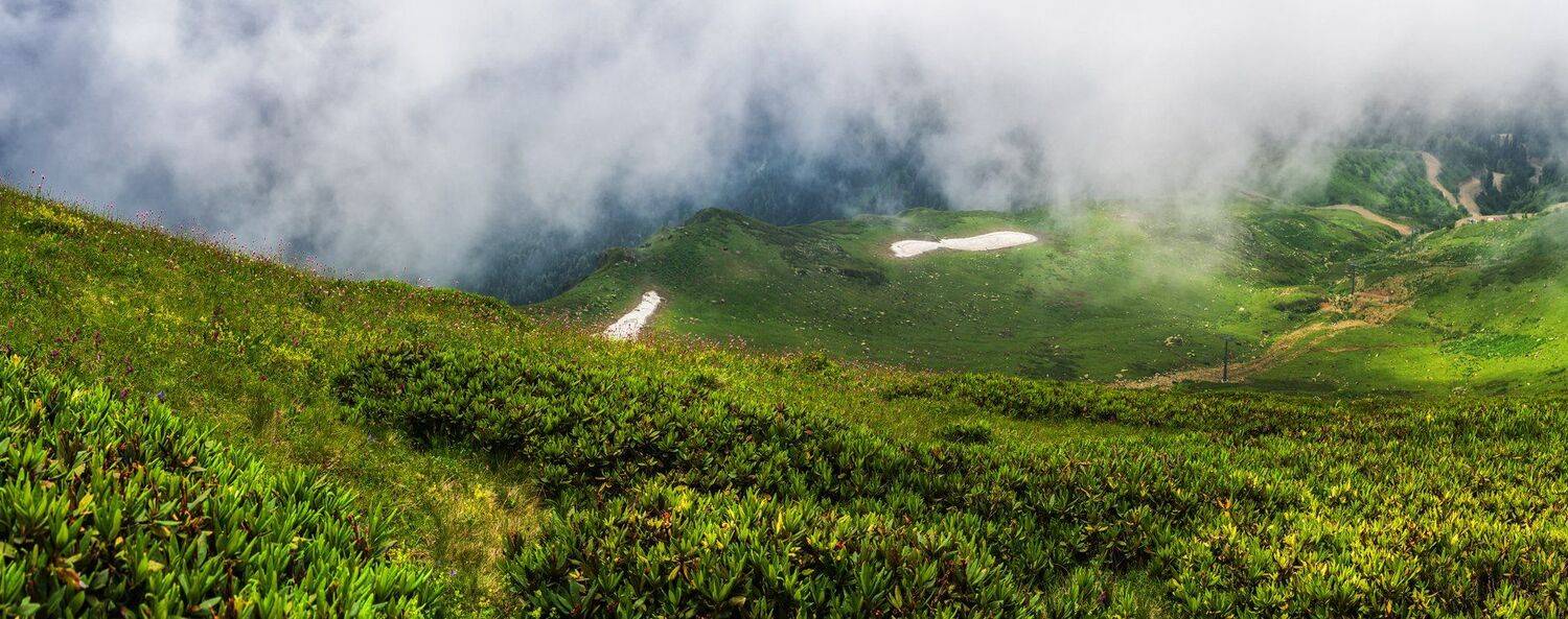 , Игорь Мелекесцев