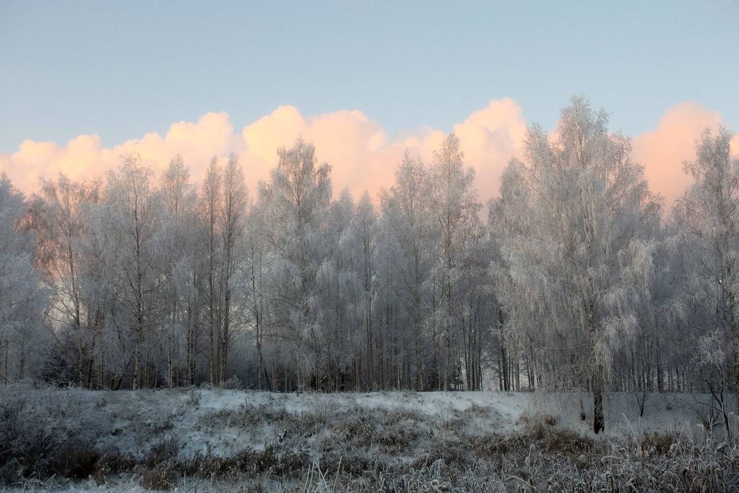 , Игорь Криницын