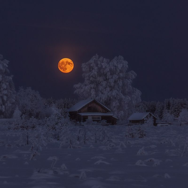 moon, village, russia, winter, зима, деревня, полнолуние, восход луны, лес ВОСХОД ЛУНЫ фото превью