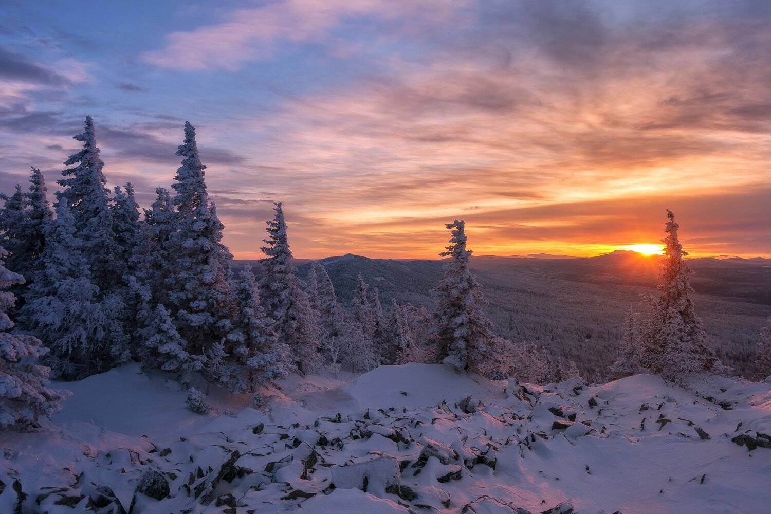 , Андрей Шарапов