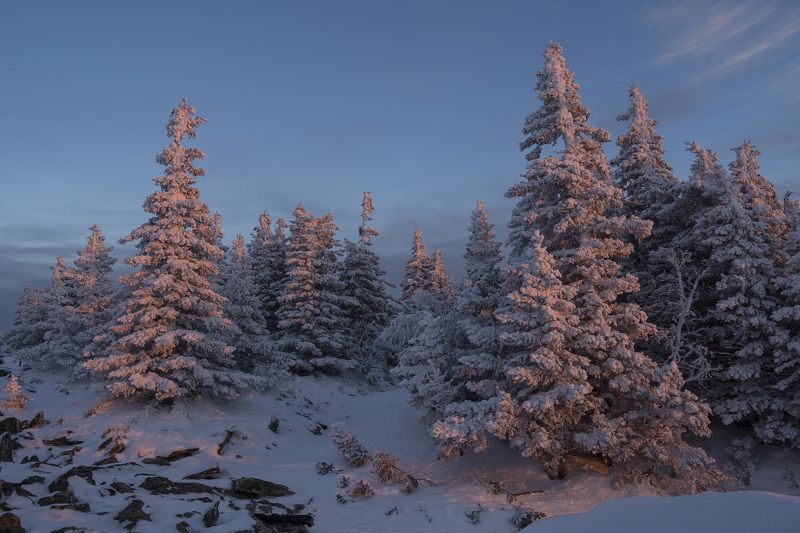 ******* фото превью