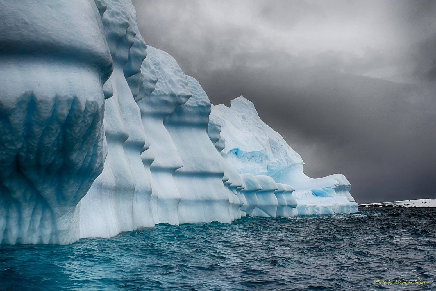 , Николай Шелепов
