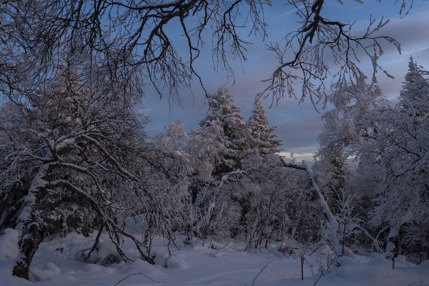 , Андрей Шарапов