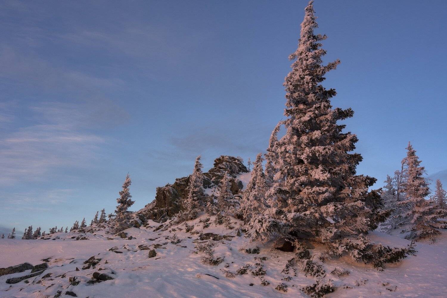 , Андрей Шарапов