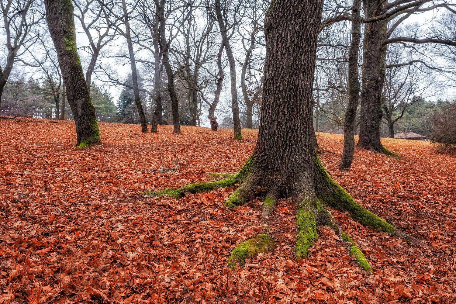 , Павел Сагайдак