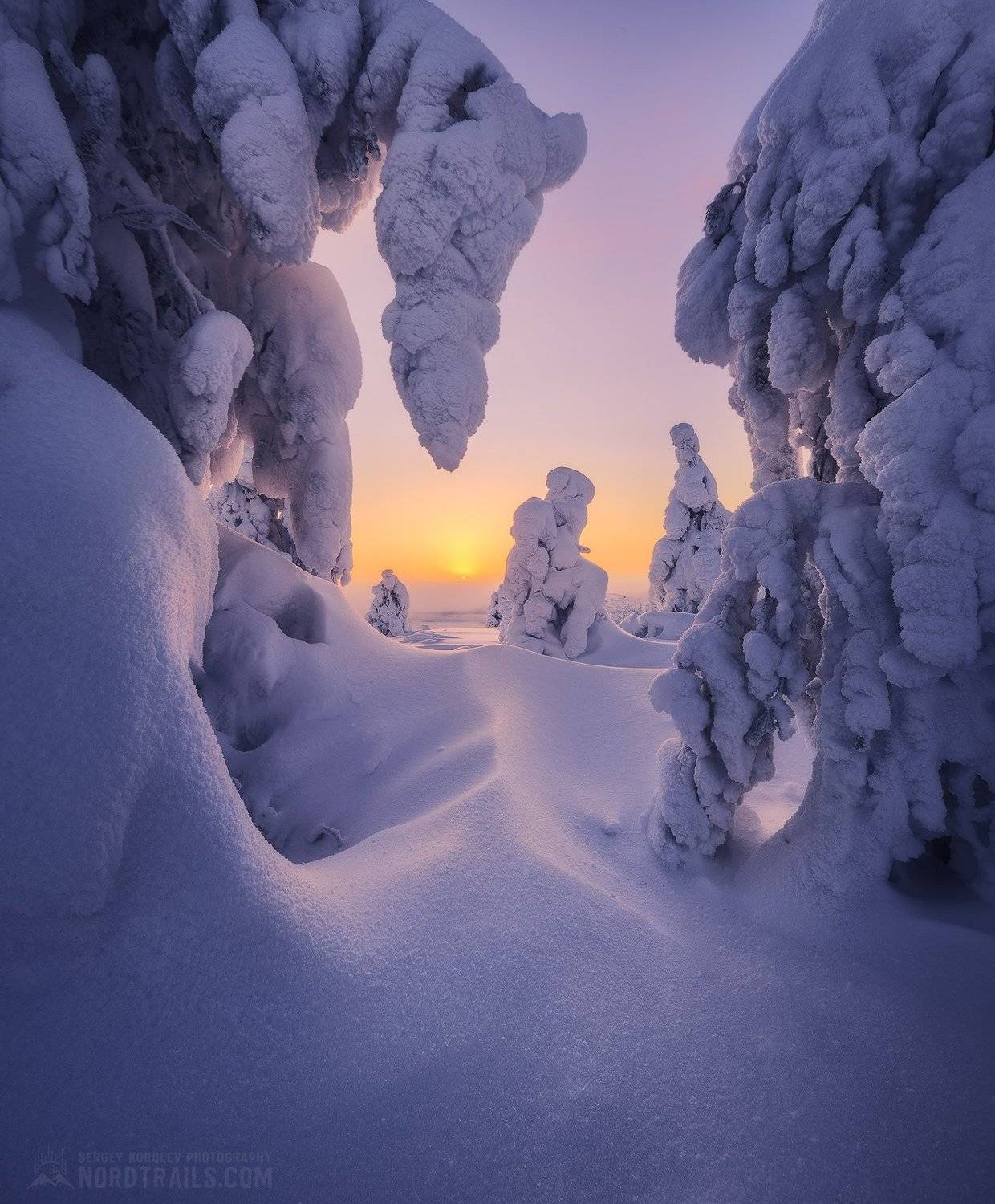 кольский, кольский полуостров, кандалакша, зима, winter, snow, north, Сергей Королев