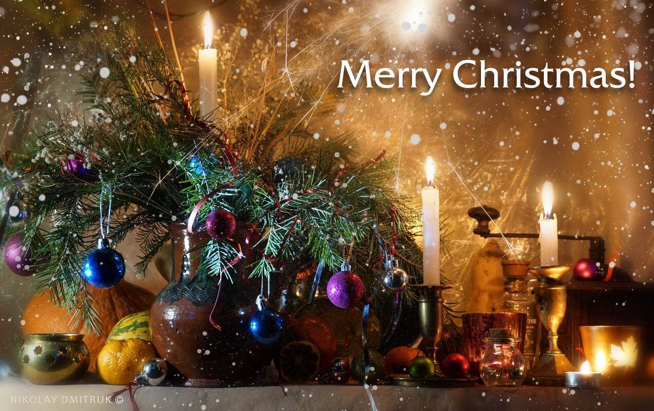 натюрморт, николай дмитрук