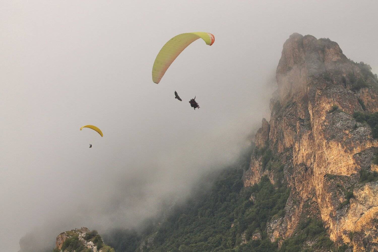 горы,осень,природа,туман,параплан, Marat Magov