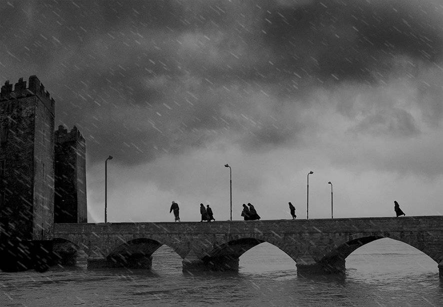 , T. Bondarenko