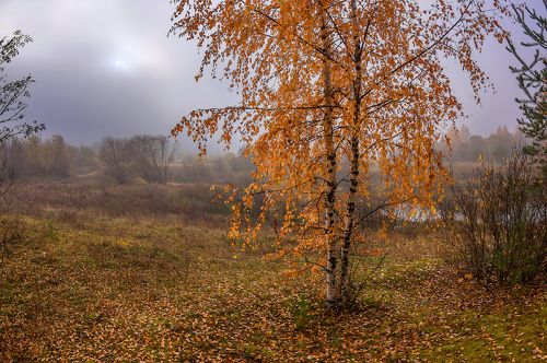 в золоте