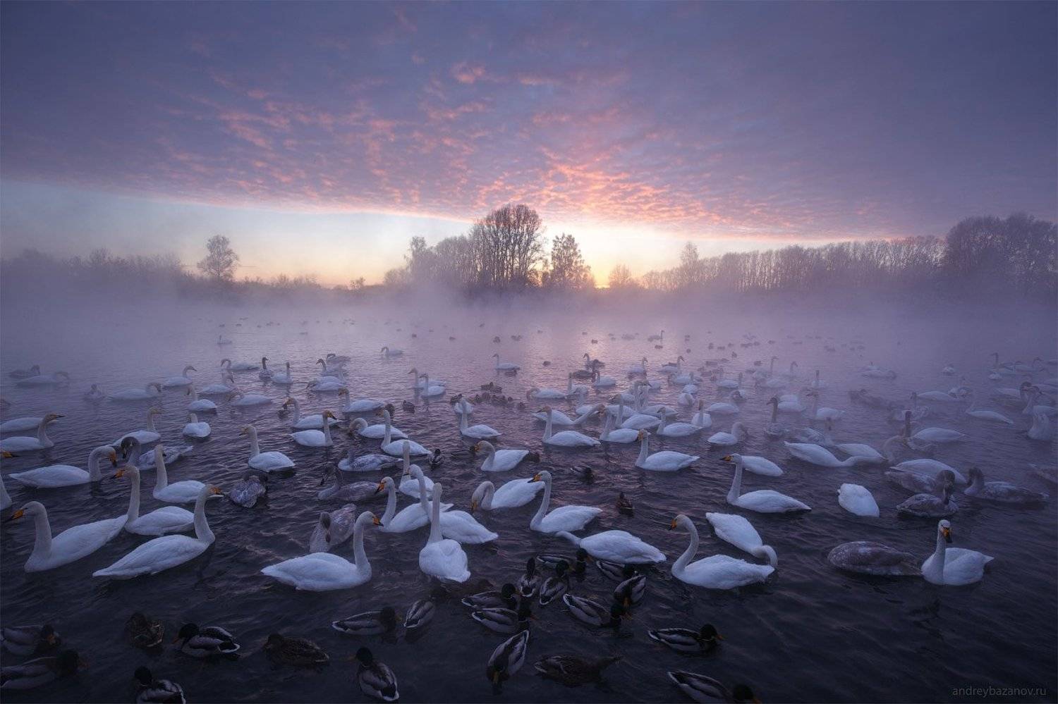 , Андрей Базанов
