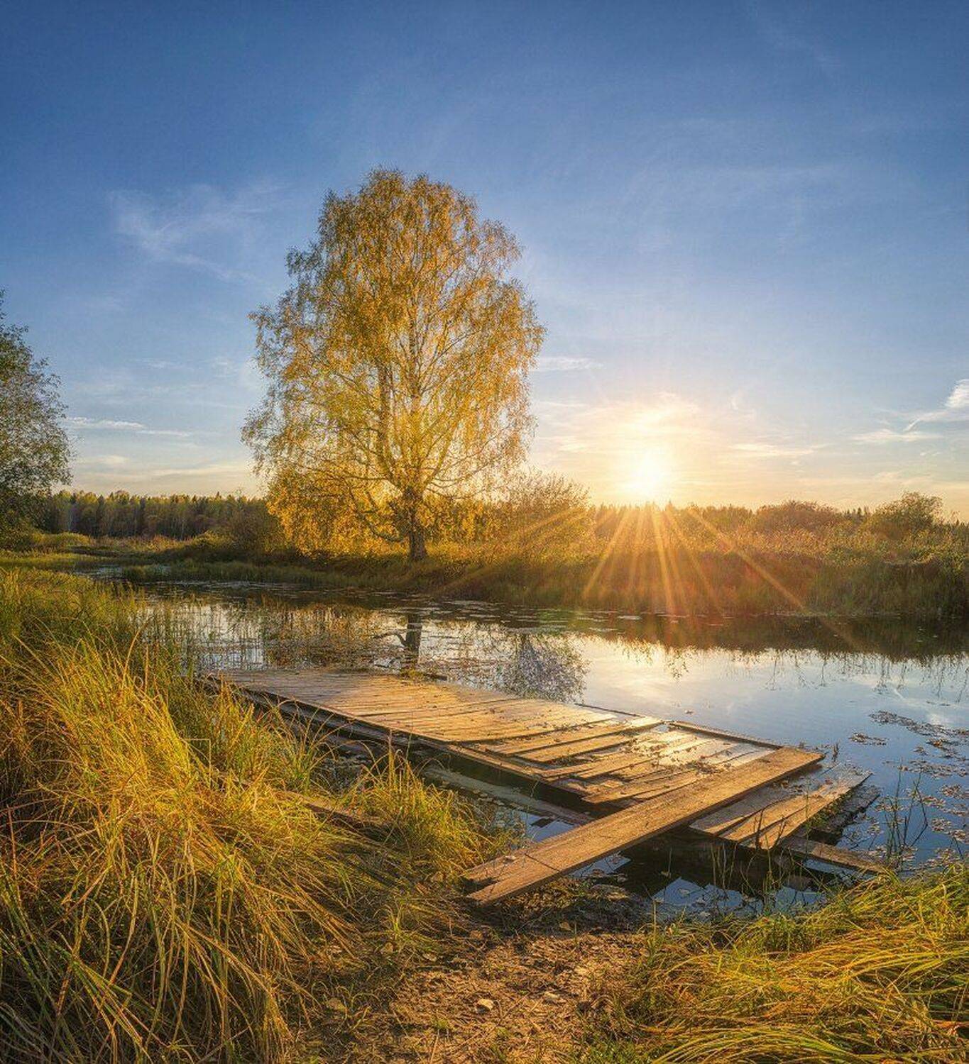 , Устюжанин Михаил