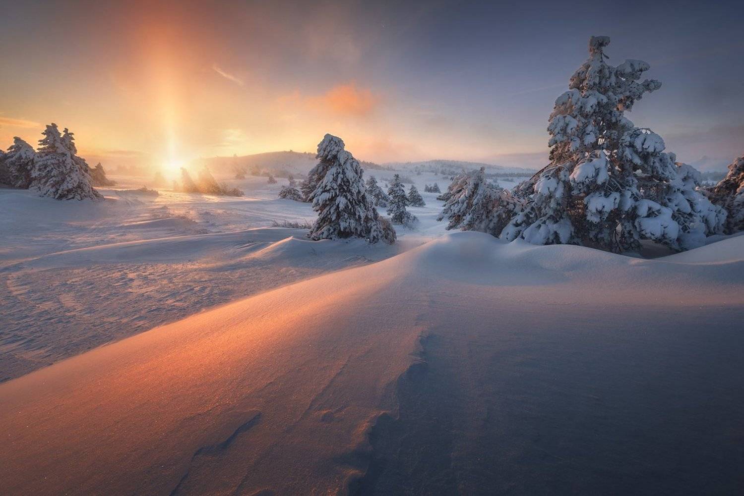 крым,ай-петри, Александр Трашин
