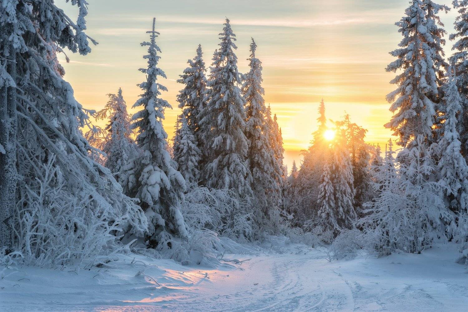 , Михаил Туркеев