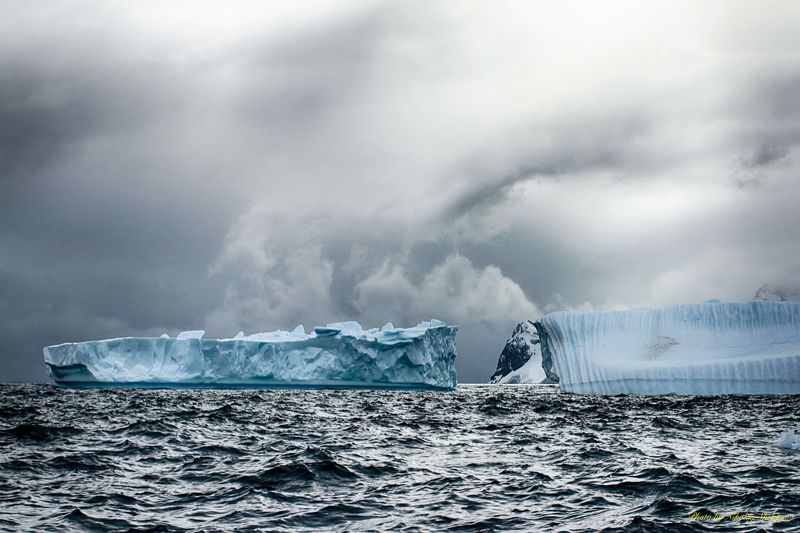 Антарктида 37 фото превью