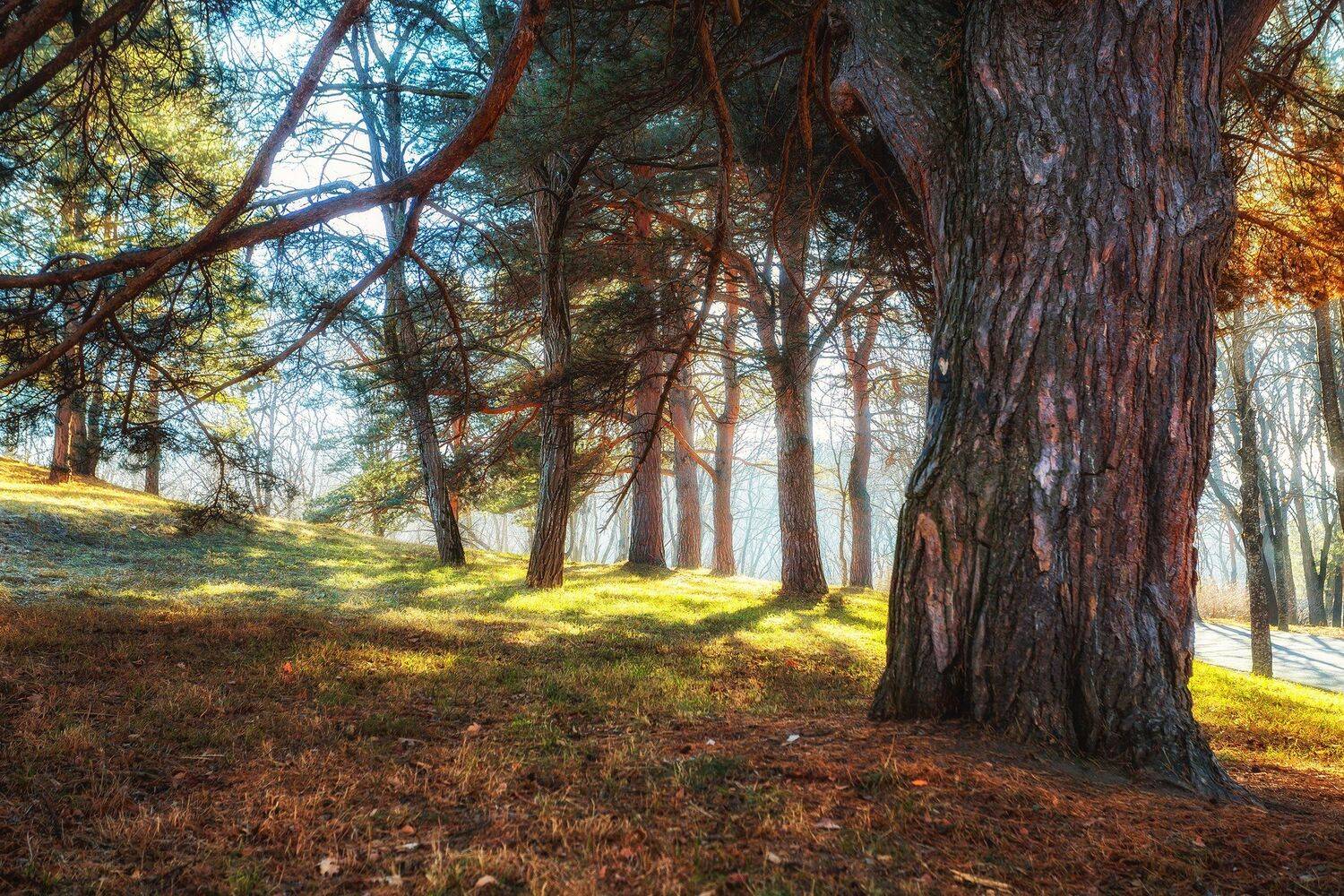 , Павел Сагайдак