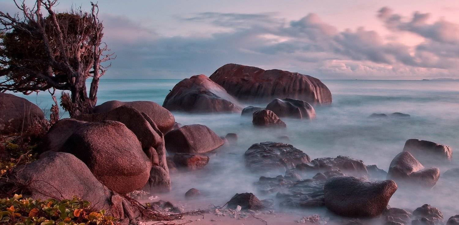 , Людмила Прокофьева