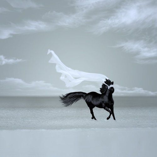 Chasing the wind II