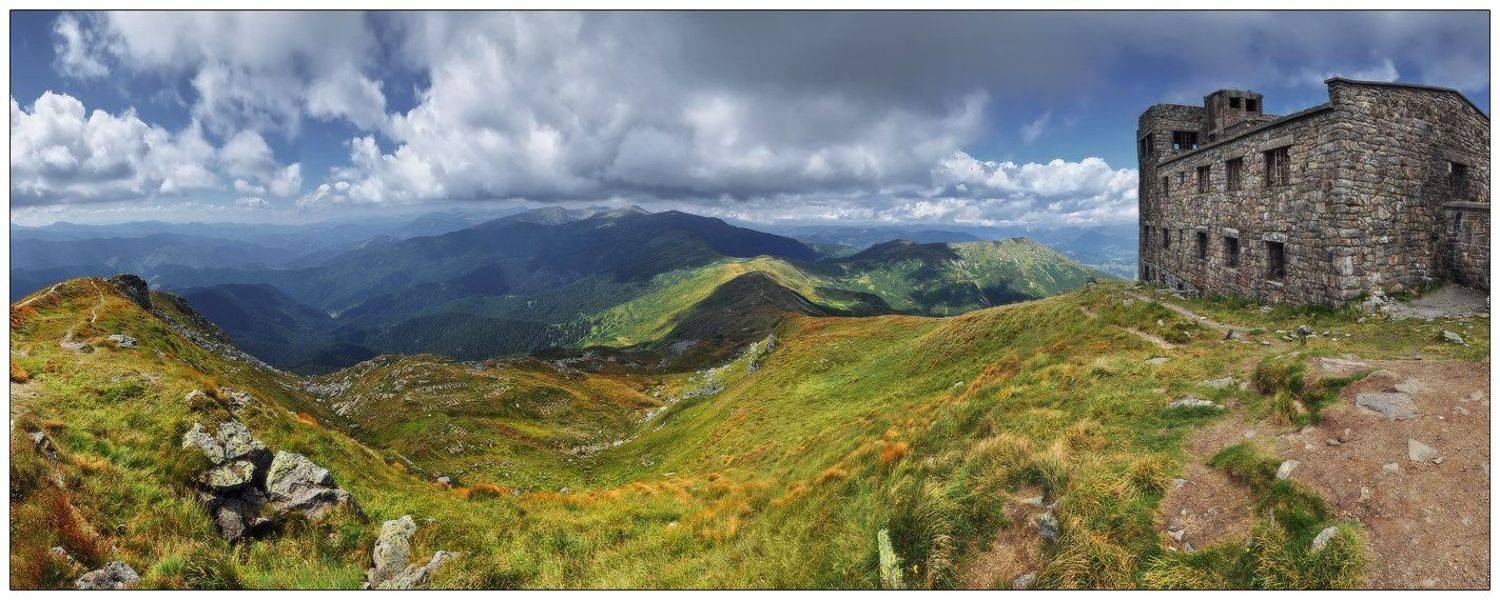 , Денис Кривой