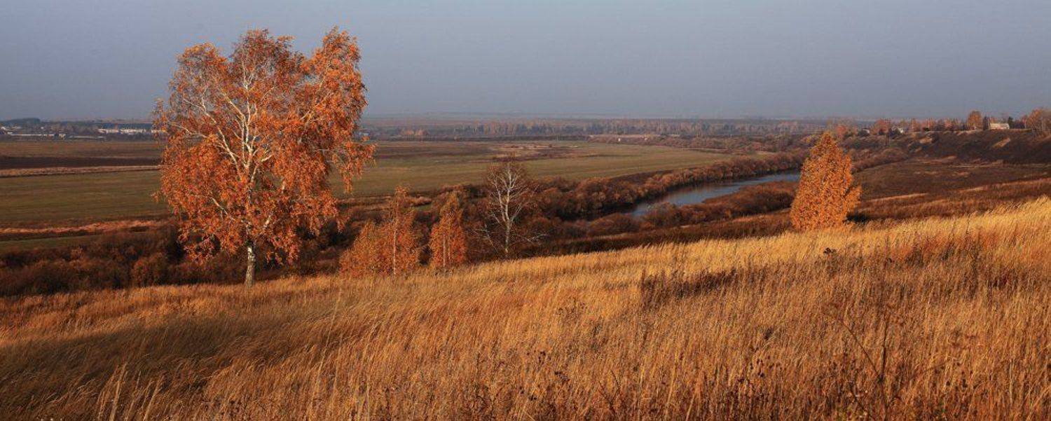 , Андрей Перешеин