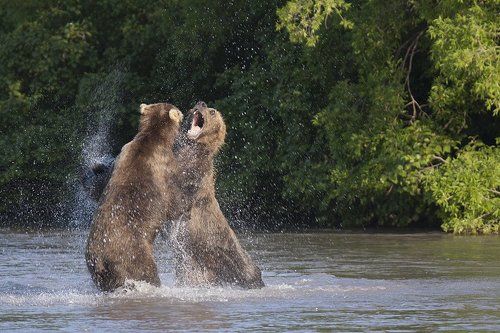 Битва Титанов