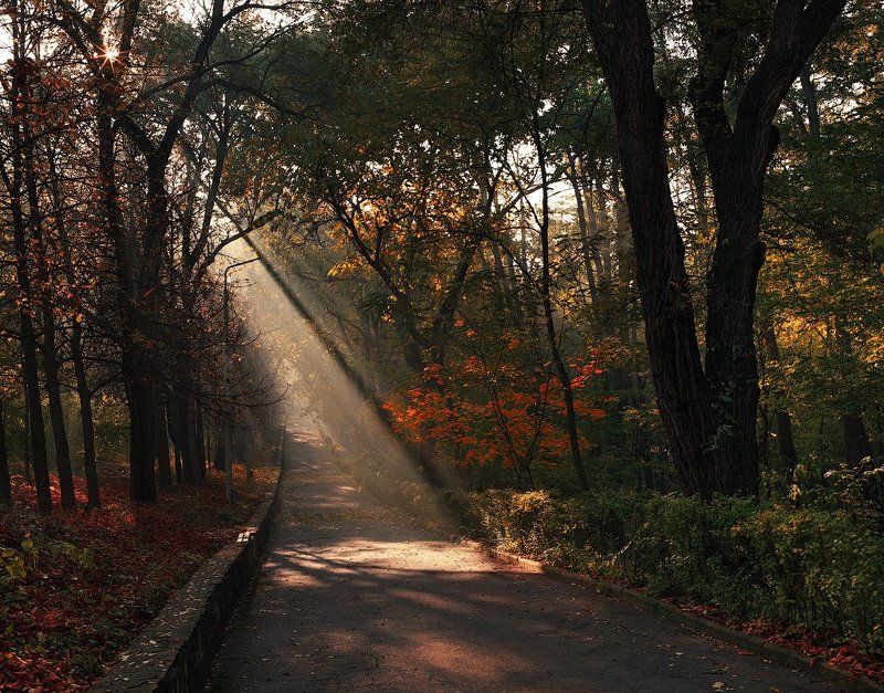 automn, sunshine oceннее настроение фото превью