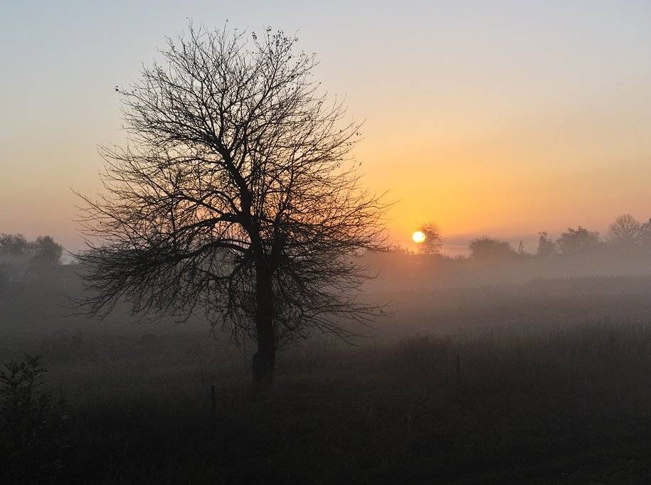 , Валерий Смирнов