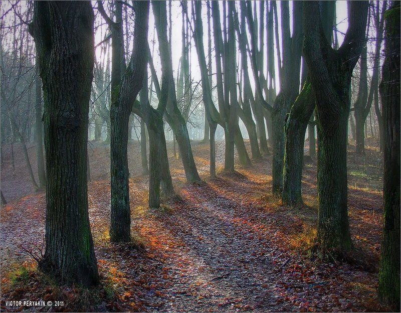 Ноябрьское утро фото превью