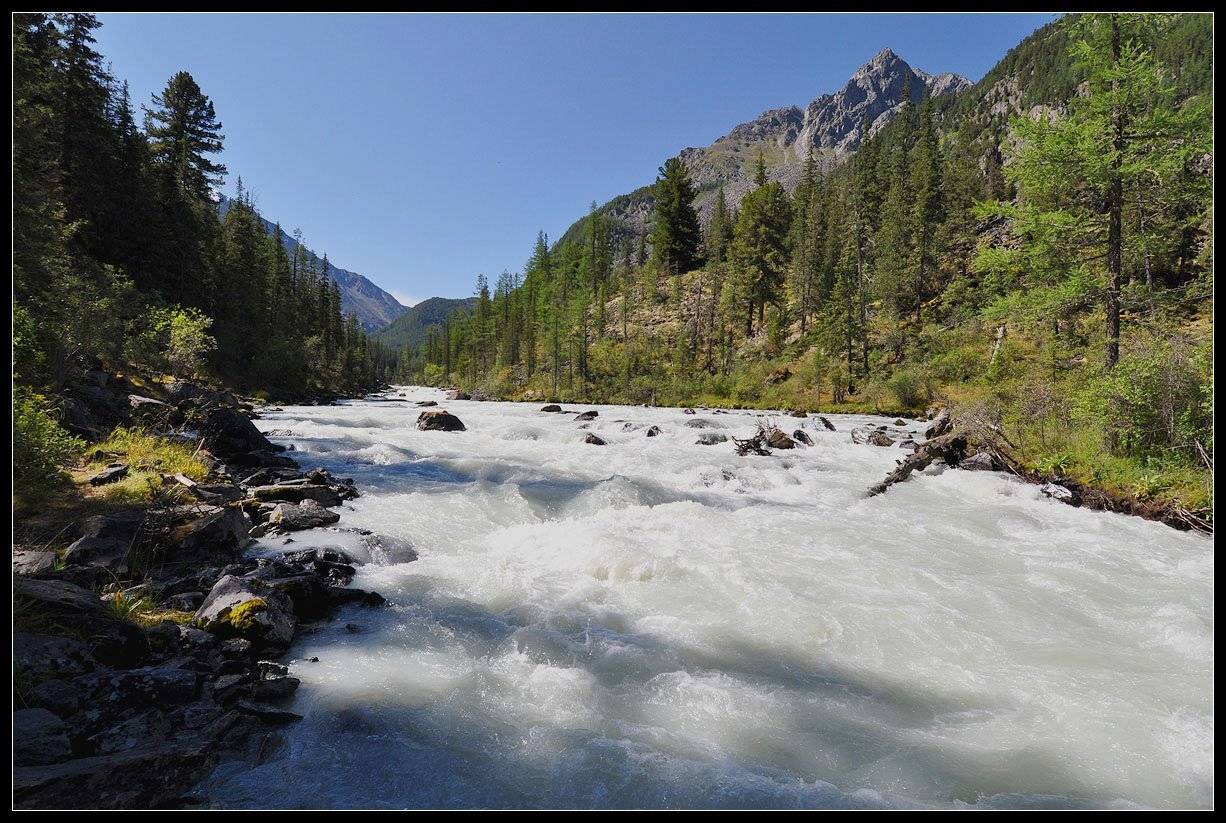 алтай, катунский хр. лето, река., АНАТОЛИЙ ДОВЫДЕНКО