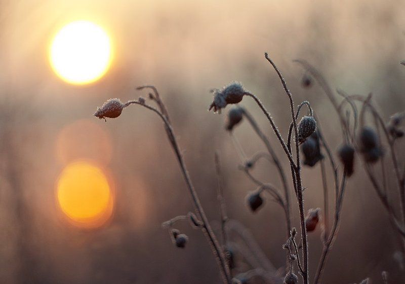 ... фото превью