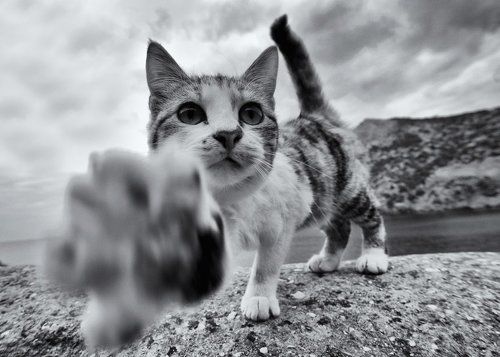 Не снимать!!!