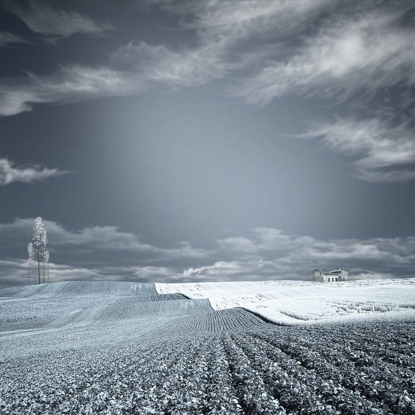 , Caras Ionut