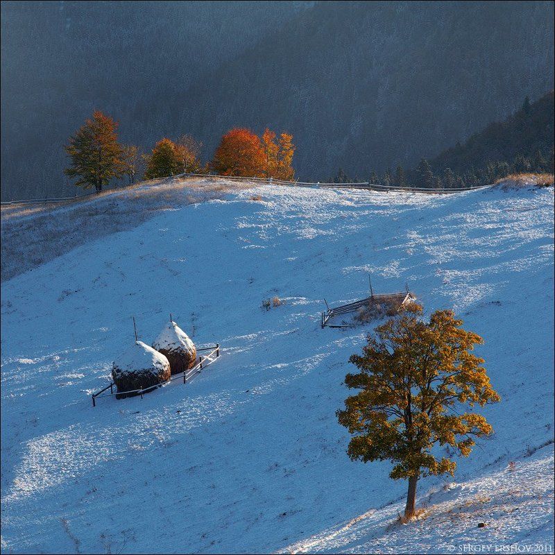 осеннее утро